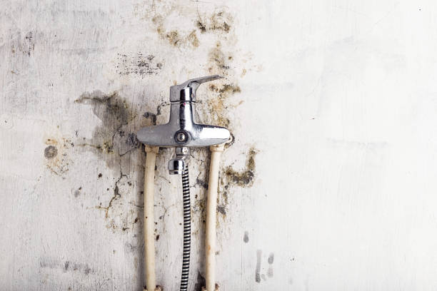 Best Post-Flood Mold Remediation in Hide A Way Lake, MS