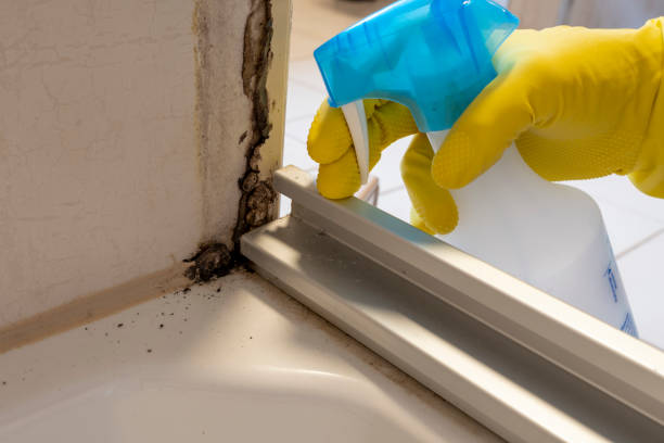 Best HVAC Mold Remediation in Hide A Way Lake, MS